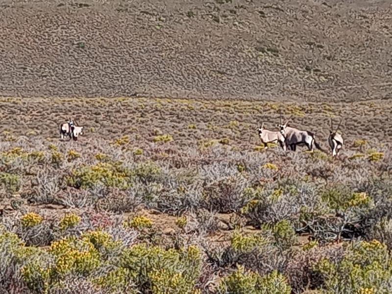 9 Bedroom Property for Sale in Sutherland Northern Cape